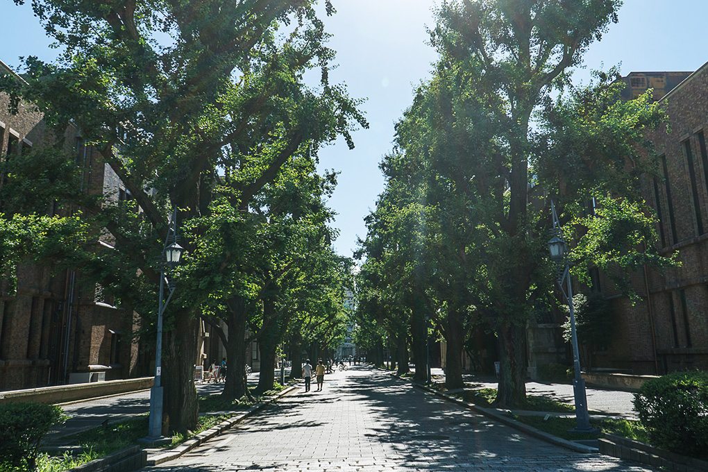 大学院進学案内