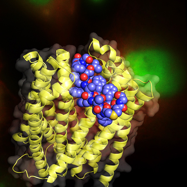 Biological Chemistry