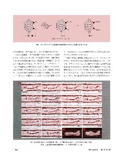 gendai-kagaku0808-3
