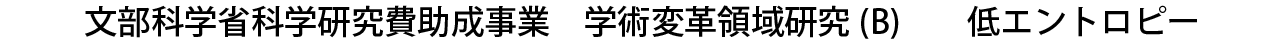 文部科学省科学研究費助成金　学術変革領域（B)　低エントロピー